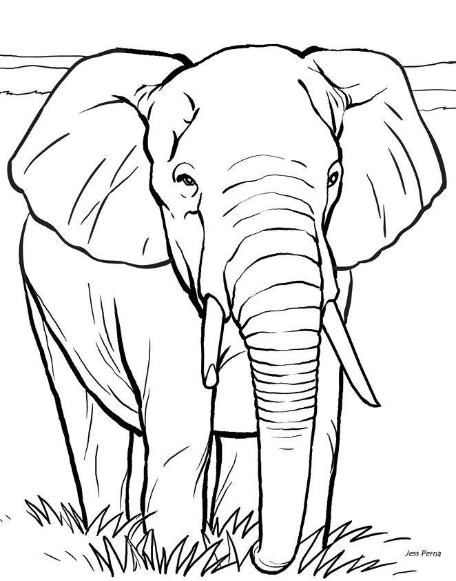 Plansa de colorat cu Elefant 48 43